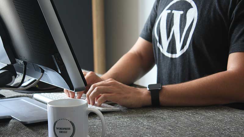 wordpress shirt